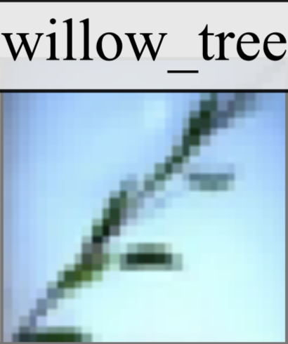 Mislabeled CIFAR100 Sample: Willow Tree