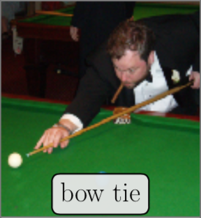 Mislabeled ImageNet Sample: Bow Tie